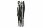 Tall Tower Of Polished Orthoceras (Cephalopod) Fossils #184078-1